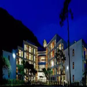 [강원] 파인포레스트 정선 알파인리조트(강원호텔/정선호텔/정선파인포레스트 정선 알파인리조트)