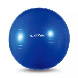 스타 짐볼 65cm