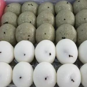 3색 잔기지떡 기정떡 쑥 백년초 기지떡 술떡 증편