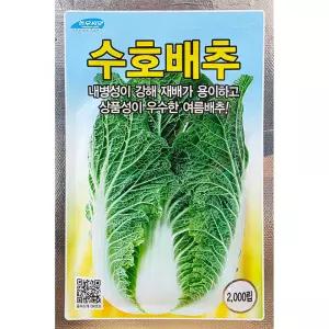 수호배추 2000립 농우 26년 여름배추씨앗 조기가을배추씨앗