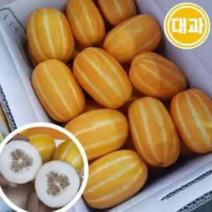 고당도 프리미엄 성주 꿀 참외 (대과 10kg)/18~22과/국내산 신선 제철 과일 간식