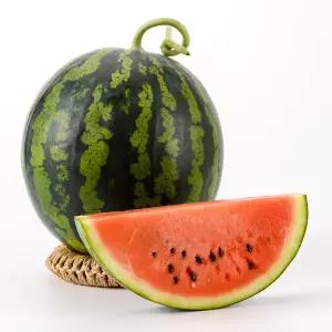 국내산 하우스 수박 고당도 신선 과일 산지직송 4kg 5kg 6kg 7kg