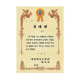 품새상 겨루기상 외 태권도학원 상장 100매 레저용품 연습용 훈련용 체육대회 운동회