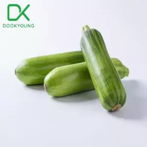 국내산 애호박 특 5개입