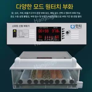 자동 부화기 자동회전 메추리 계란 인큐베이터 달걀 회전 부화용품 조류 알 부화 병아리 닭