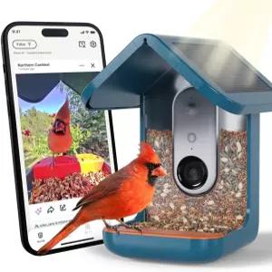 카메라가 장착된 버드버디 프로 솔라 스마트 피더 - AI 조류 종 식별 5MP 사진 2K HD 비디오 라이브 스트림