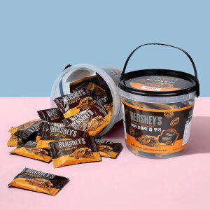 허쉬 초콜릿칩 쿠키 400g (통)