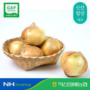 [익산원예농협] 26년 국내산 양파 중대사이즈 5kg