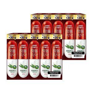 2080 진지발리스 유칼립투스 스트롱 170g, 5입, 2개