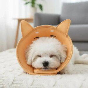 드림베이스 강아지 넥카라 고양이 겸용 초경량 3D 통기 메쉬 반려동물 상처 보호대