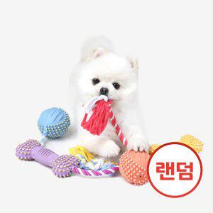 패리스독 로프플레잉 라텍스 토이