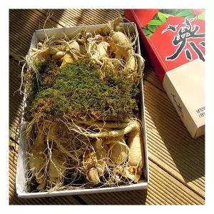 풍기인삼 6년근 난발삼(대) 750g(9~10뿌리)