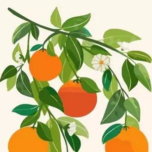 명화 인테리어 집꾸미기 셀프 유화 diy 그리기 초보자