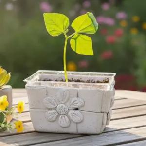 데코찰흙 화분 꾸미기 재배키트 식물 한살이 학습 체험활동 가드닝 지점토 DIY 과학교재