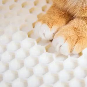 3651 고양이 화장실 매트 모래 사막화방지 실리콘 블랙홀 1개