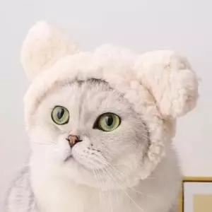 고양이모자 강아지모자 반려견 반려묘 귀여운 털모자
