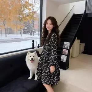 여친 원피스 하프 브이넥 긴팔 슬림핏 임산부용 쉬폰 예쁜 빅사이즈 SPO마켓1
