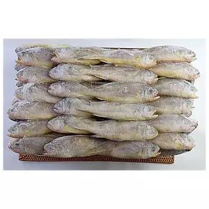 냉동 업소용 참조기 봉화 50-52미 3.5kg 2405421 J