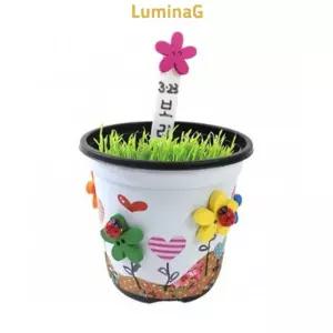 꽃단추 보리화분 만들기 키트 새싹 키우기 DIY 인용 생활용품