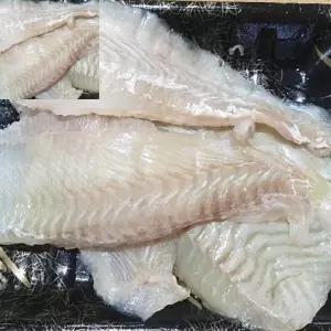 십햐 광어회 광어필렛 손질필렛 냉장흰살해산물 회용생선살
