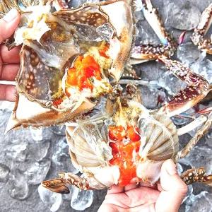 하늘씨푸드 연평도 제철 냉동 꽃게 1kg 봄 급속냉동 특대 암꽃게 1kg (2-3미)