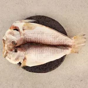 [롯데백화점]한림수협 [제주 한림수협] 제주 특대 옥두어 1.8kg(600g*3팩/팩당1미)