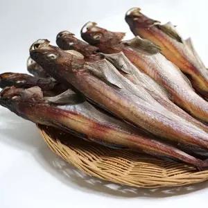 갤러리아 속초 중앙시장 맛집 반건조 코다리 41cm 5마리