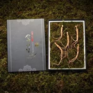 갤러리아 심봤다 삼 산양산삼 산양삼 장뇌삼 선물세트 5뿌리