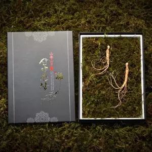 갤러리아 [고급선물포장]심봤다 삼 산양산삼 산양삼 장뇌삼 선물세트 2뿌리