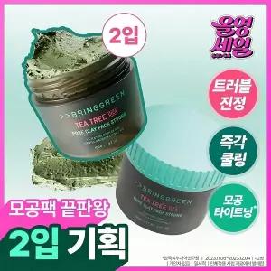 브링그린 티트리 시카 포어 클레이팩 스트롱 100g 피지흡착팩 2입