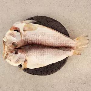 [제주 한림수협] 제주 특대 옥두어 1.2kg(600g x 2팩/팩당1미)