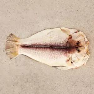 [제주 한림수협] 제주 특대 옥두어 2.4kg(600g x 4팩/팩당1미)