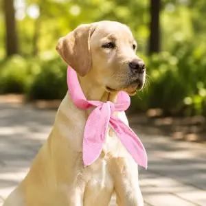 강아지 고양이 아이스 쿨스카프 조끼 펫 여름 더위 아이스팩