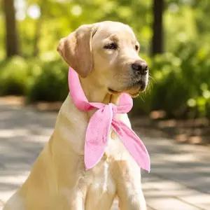 [골드스마일]강아지 고양이 아이스 쿨스카프 조끼 펫 여름 더위 아이스팩