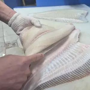 서해 자연산 대 광어 필렛 200g + 초장 3키로급 대 광어 회 필렛 손질 광어 자연산 광어 회