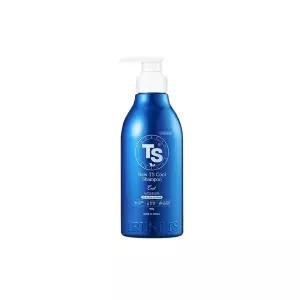 뉴TS쿨샴푸 500g, 1개