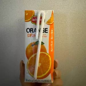롯데칠성음료 델몬트 오렌지 드링크 190ml 48개