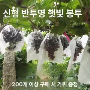 포도 봉투 크리스마스 선물포장 간식 포장용 과수 봉지