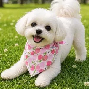 [셀러에이드]애견 반다나 스카프 고양이 강아지 데일리 액세서리