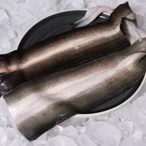 자포니카 민물장어 선물세트 1kg 장어 자포니카장어 자포니카민물장어
