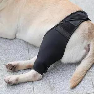 강아지 보호대 XL 강아지고관절보호대 강아지뒷다리보호대 강아지탈구보호대 강아지고관절보조기