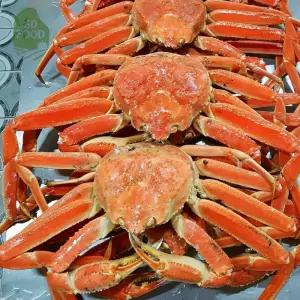 건담농수산 러시아 자숙 대게 A급 7KG(생물기준) 박달 수율보장 고급안주
