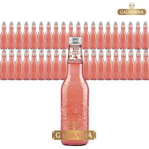 갈바니나 유기농 자몽 소다수 355ml 12개