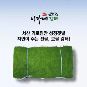 이가네감태 서산 가로림만 *햇감태* 마른감태 전장(100매) 1톳(생감태,건조김)