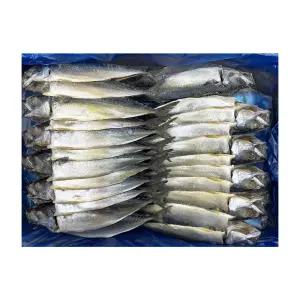 냉동 자반 고등어 24손 9.5KG 간고등어 업소용생선 조림용