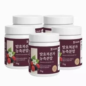 고창 복분자 분말 고농축 발효농축분말 가루 5통