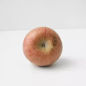 사과 (실속형) 부사 사과 대과 (5-8과) 2.5kg