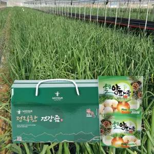 정직한 양파즙 솔잎 새순첨가 100ml 30포 양파진액