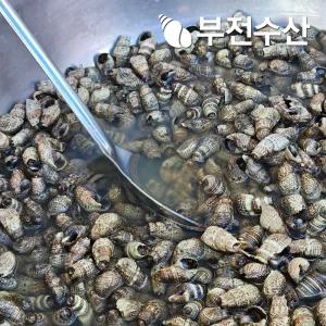 부전수산 냉동 신선한 갯고둥 1kg 자숙 손질 갯고동 고동 추억의 간식 업소용반찬