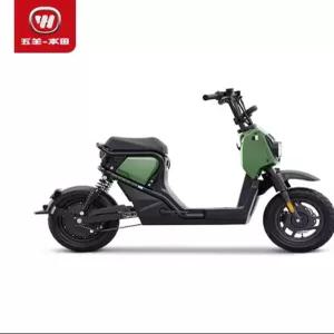 HONDA 혼다 줌머 ZOOMER 전동스쿠터 전기자전거 바이크 48V 24Ah
